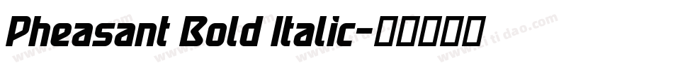 Pheasant Bold Italic字体转换
